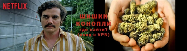шишки Волосово