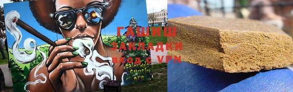 сатива Бородино