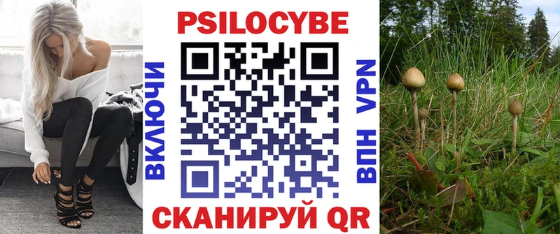 Галлюциногенные грибы Psilocybine cubensis  где продают   Зеленодольск 